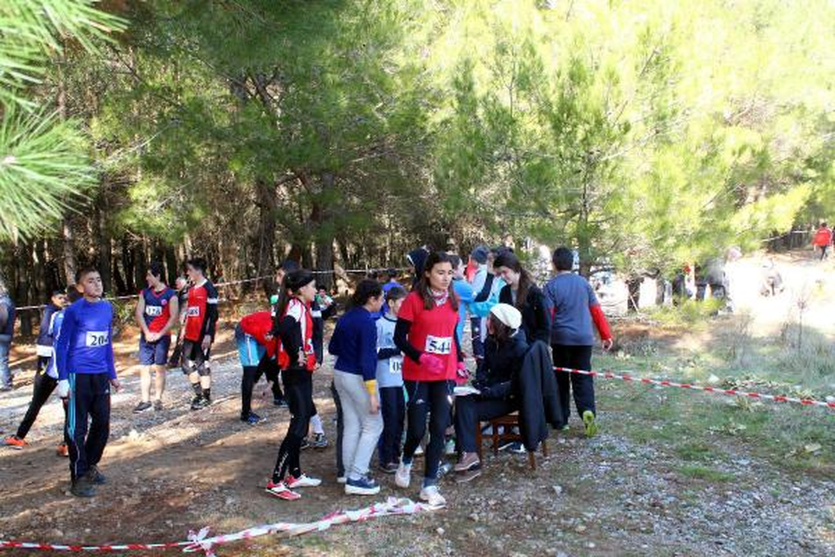 Muğla\'da Yönlerini Arıyorlar