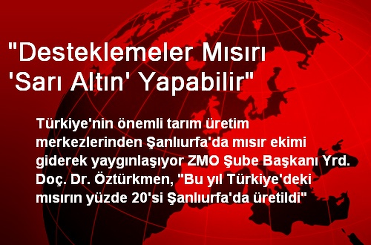 "Desteklemeler Mısırı \'Sarı Altın\' Yapabilir"
