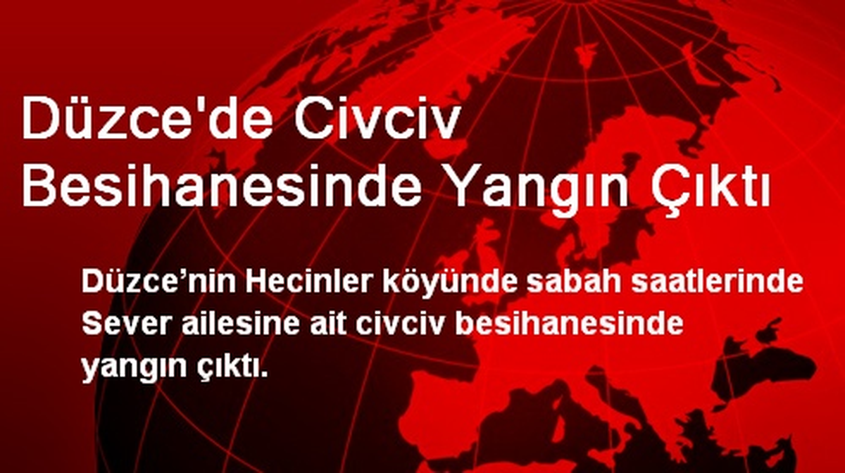 Düzce\'de Civciv Besihanesinde Yangın Çıktı