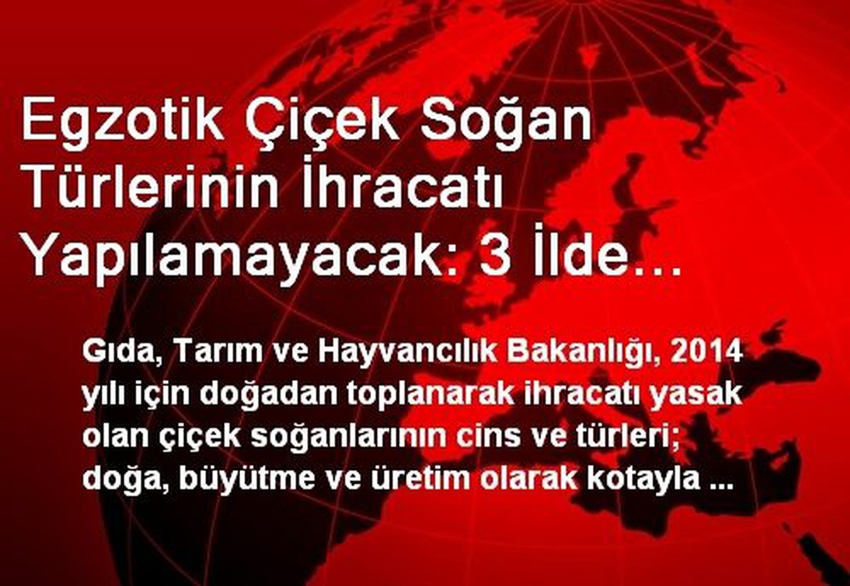 Egzotik Çiçek Soğan Türlerinin İhracatı Yapılamayacak: 3 İlde Cyclamen Türleri Toplanmayacak