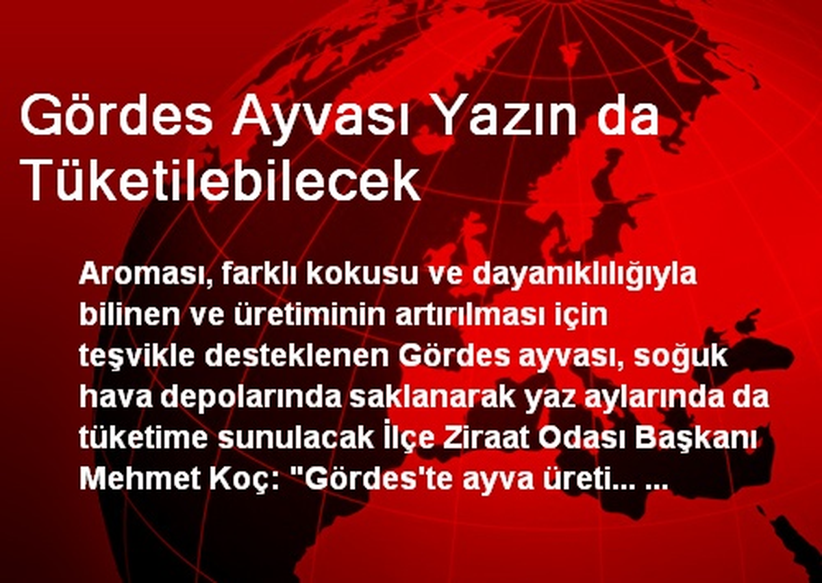 Gördes Ayvası Yazın da Tüketilebilecek