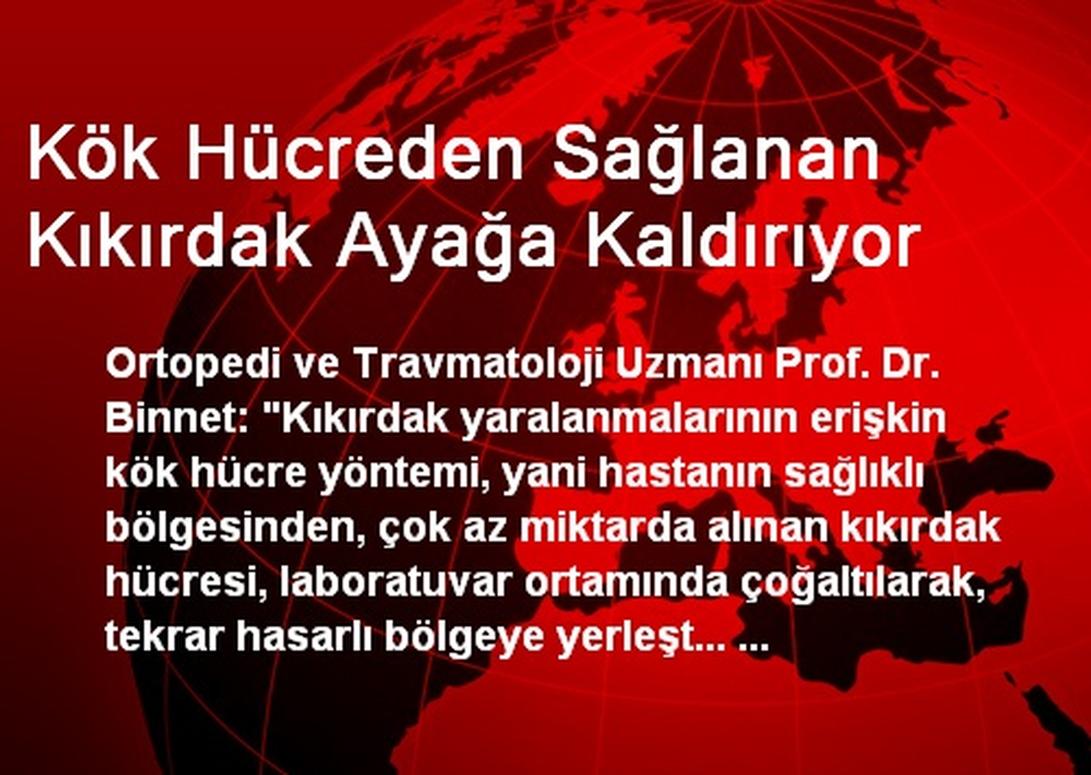 Kök Hücreden Sağlanan Kıkırdak Ayağa Kaldırıyor
