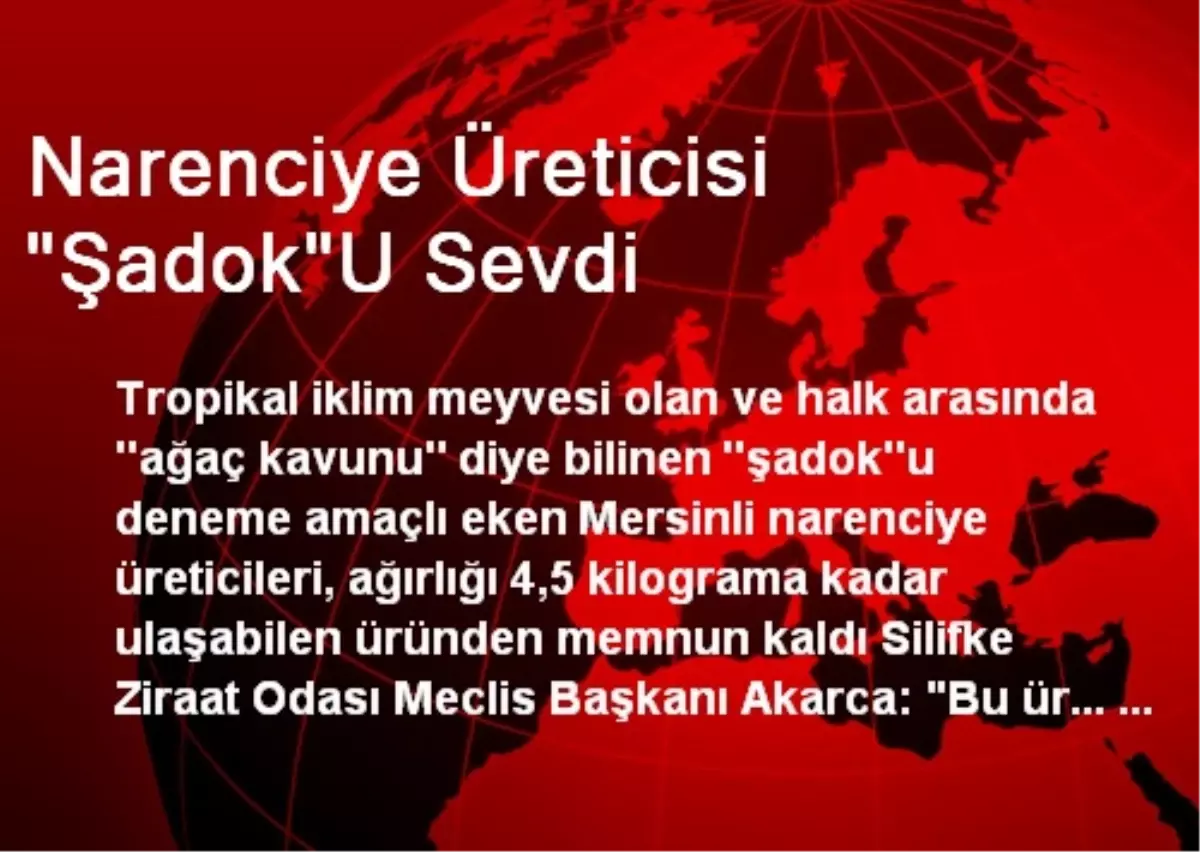 Narenciye Üreticisi "Şadok"U Sevdi