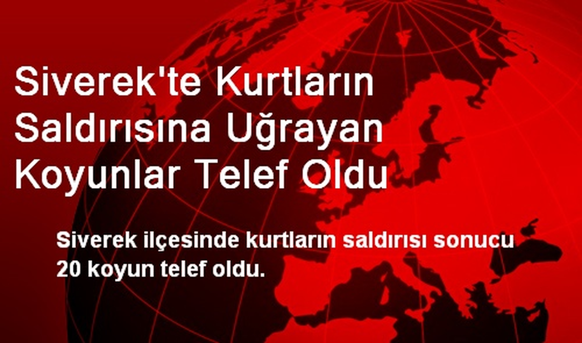 Siverek\'te Kurtların Saldırısına Uğrayan Koyunlar Telef Oldu
