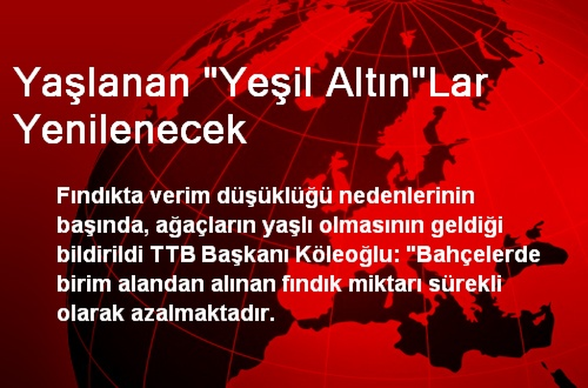 Yaşlanan "Yeşil Altın"Lar Yenilenecek
