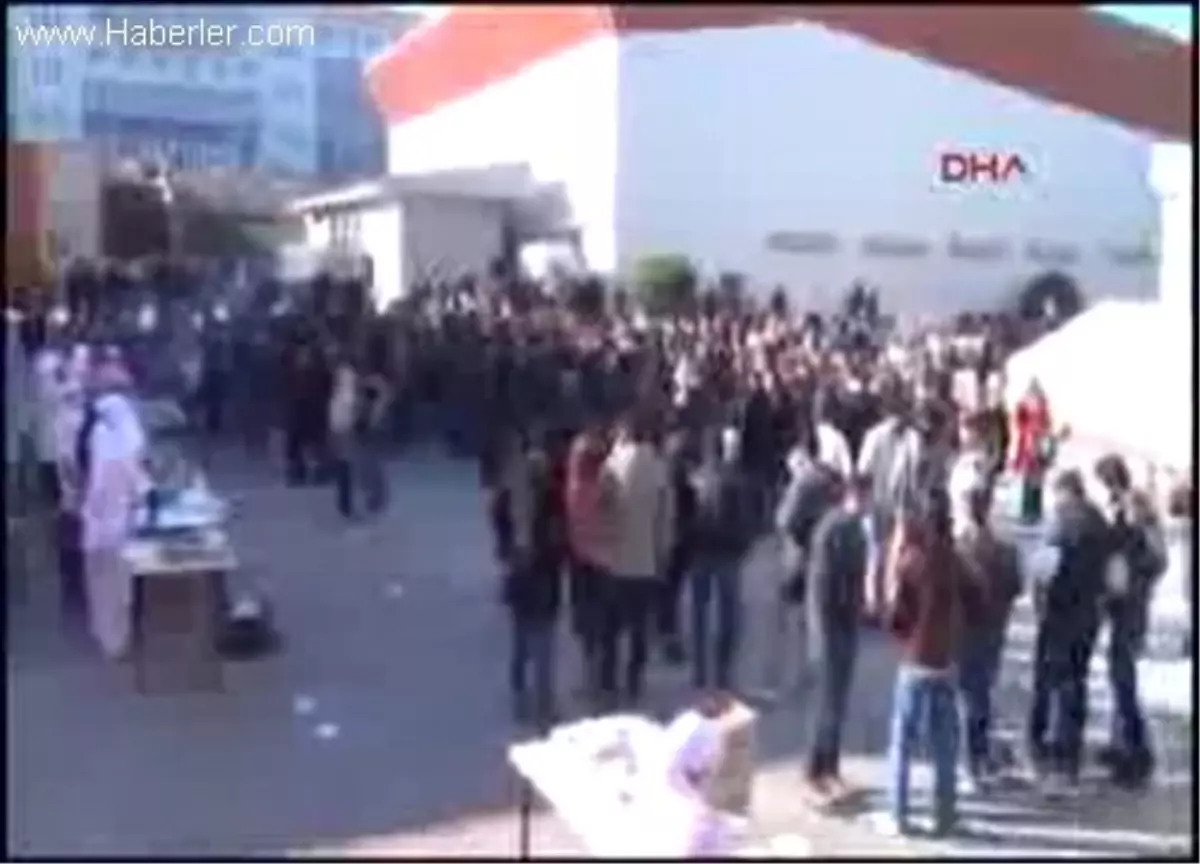 Sinop'ta Hamsi Şenliği