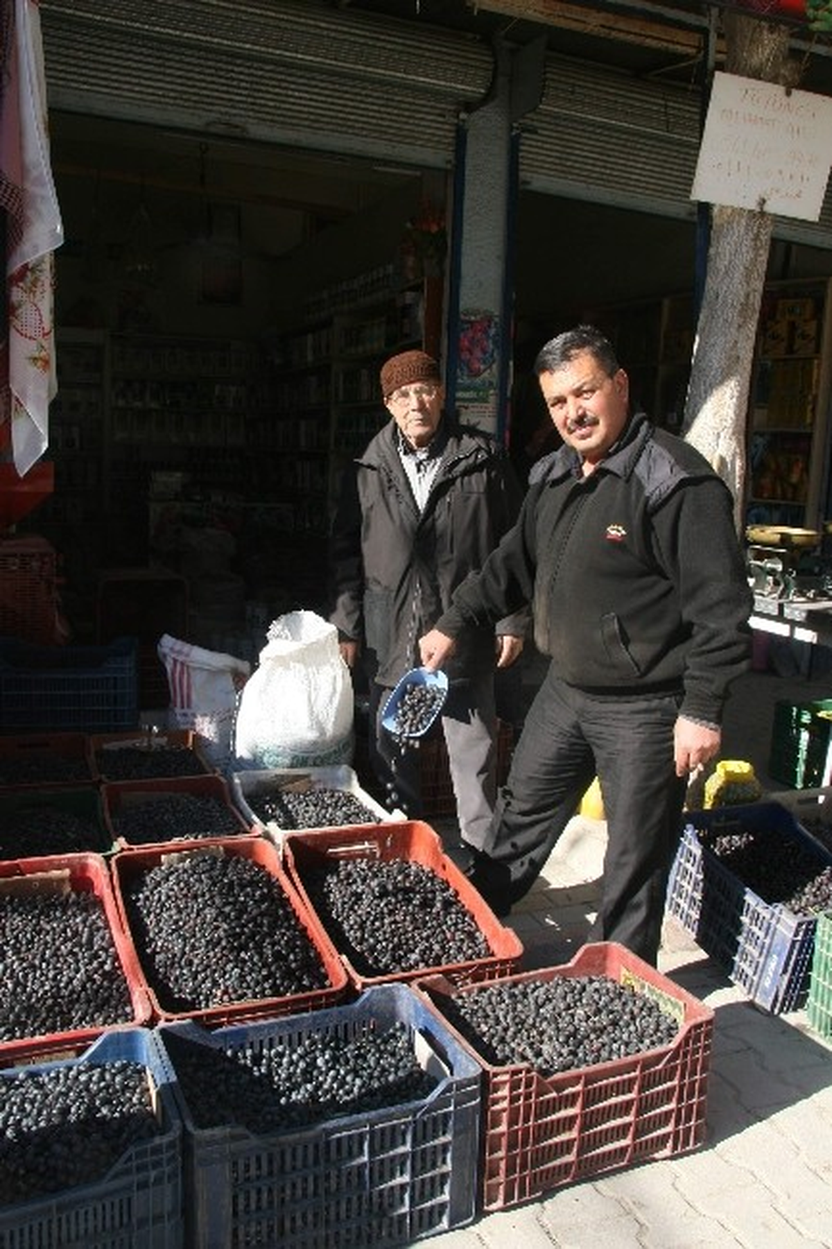 Sofralık Zeytin Satışlarında Sona Gelindi