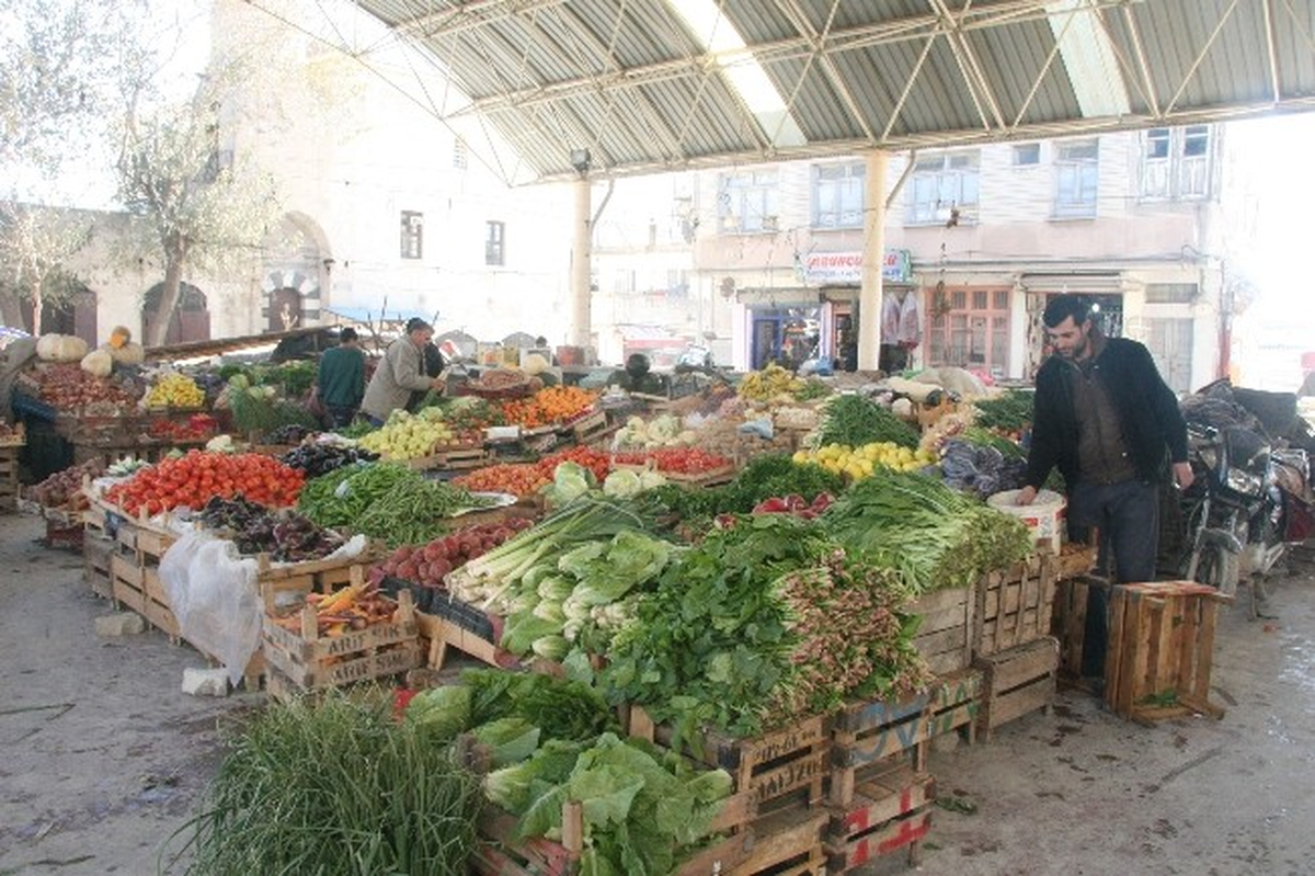 Soğuklar Meyve Sebze Fiyatlarını Arttırdı