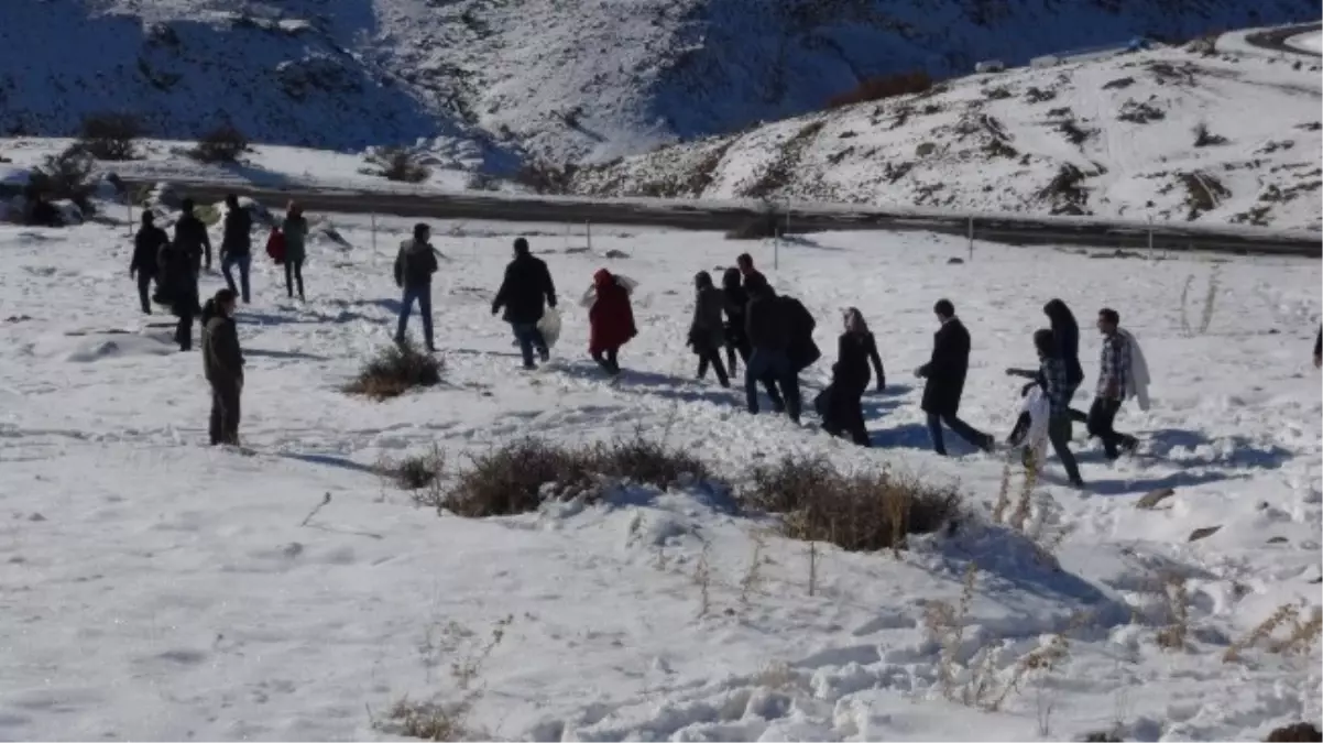 Yaban Hayvanlarına Yem Bırakıldı