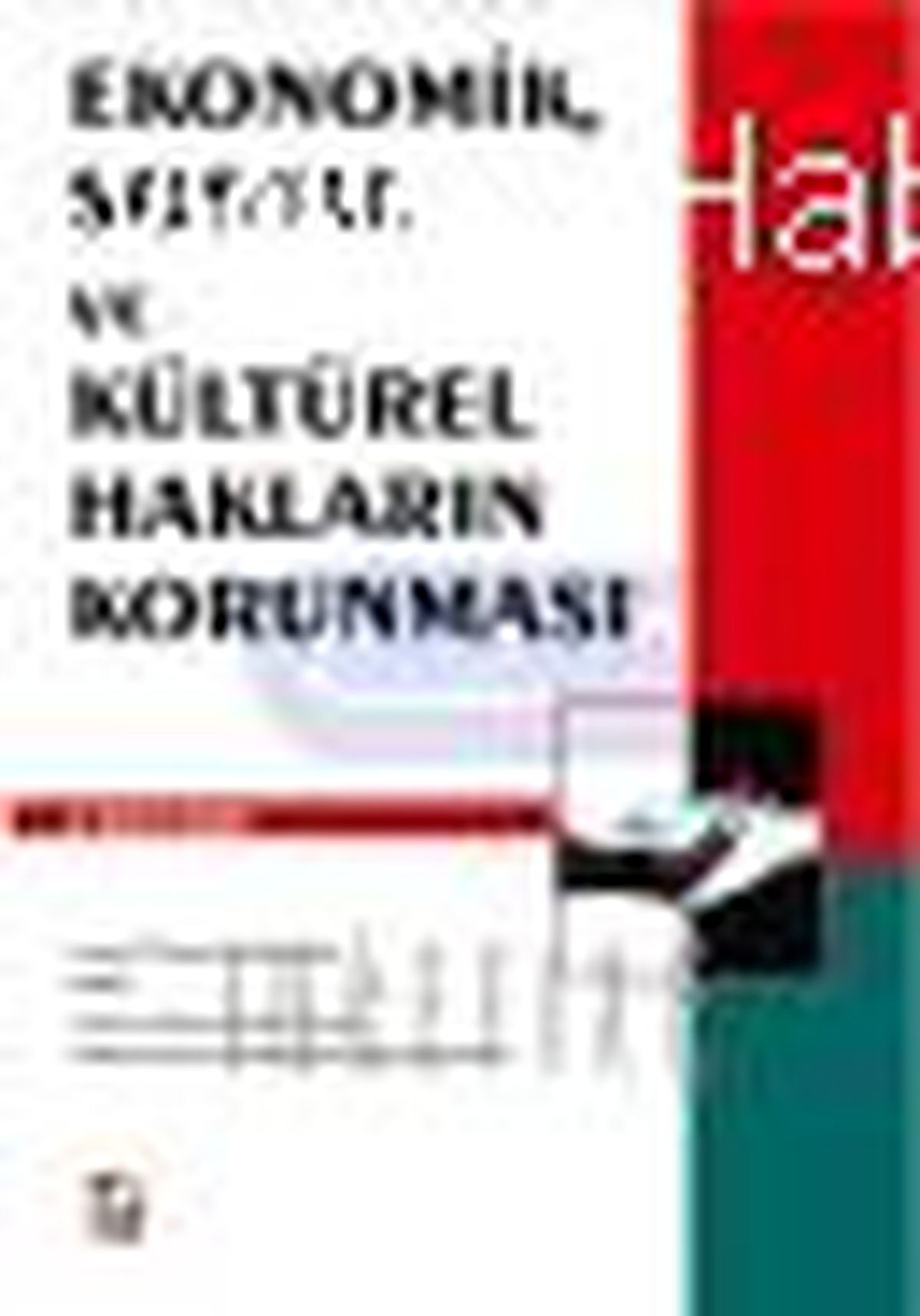 Ekonomik, Sosyal ve Kültürel Hakların Korunması Kitabı