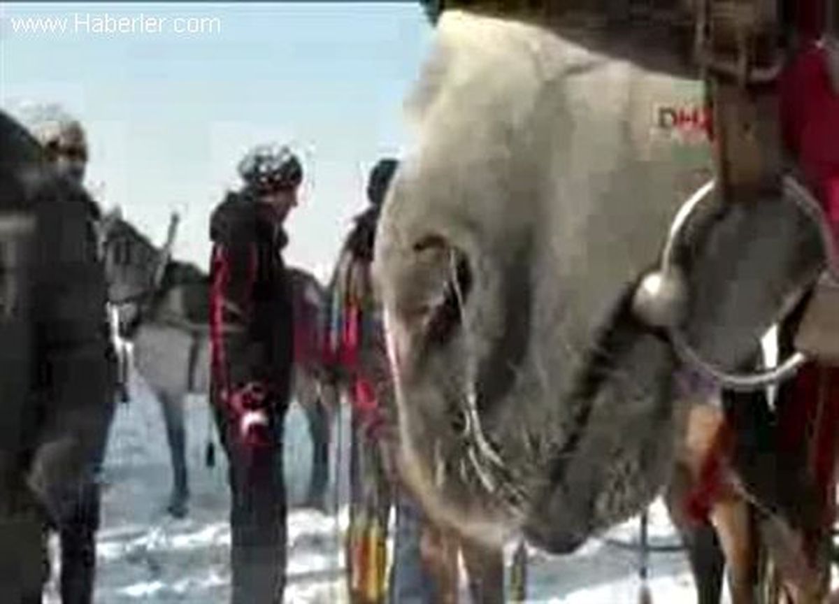 Erzurum\'da Atlı Kızak Yarışı