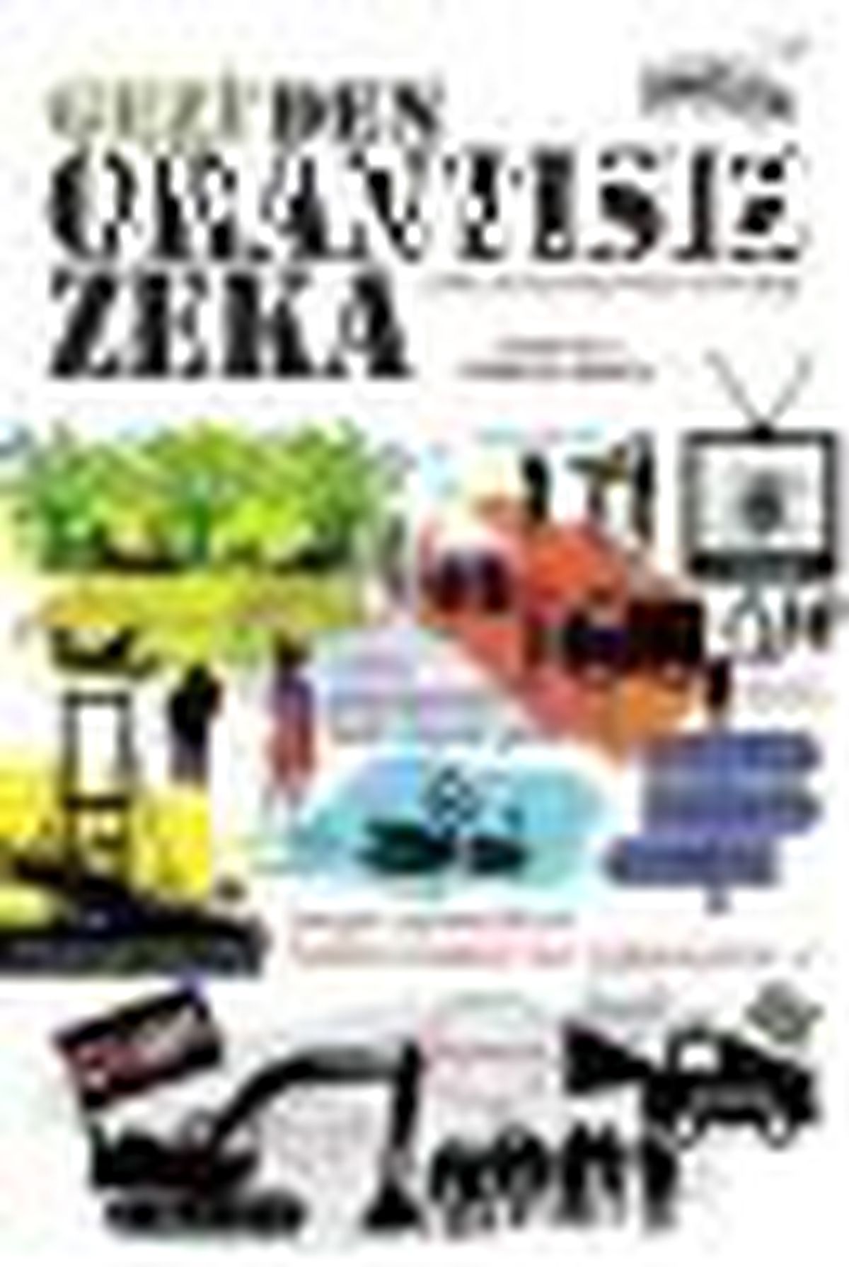 Gezi\'den Orantısız Zeka Kitabı