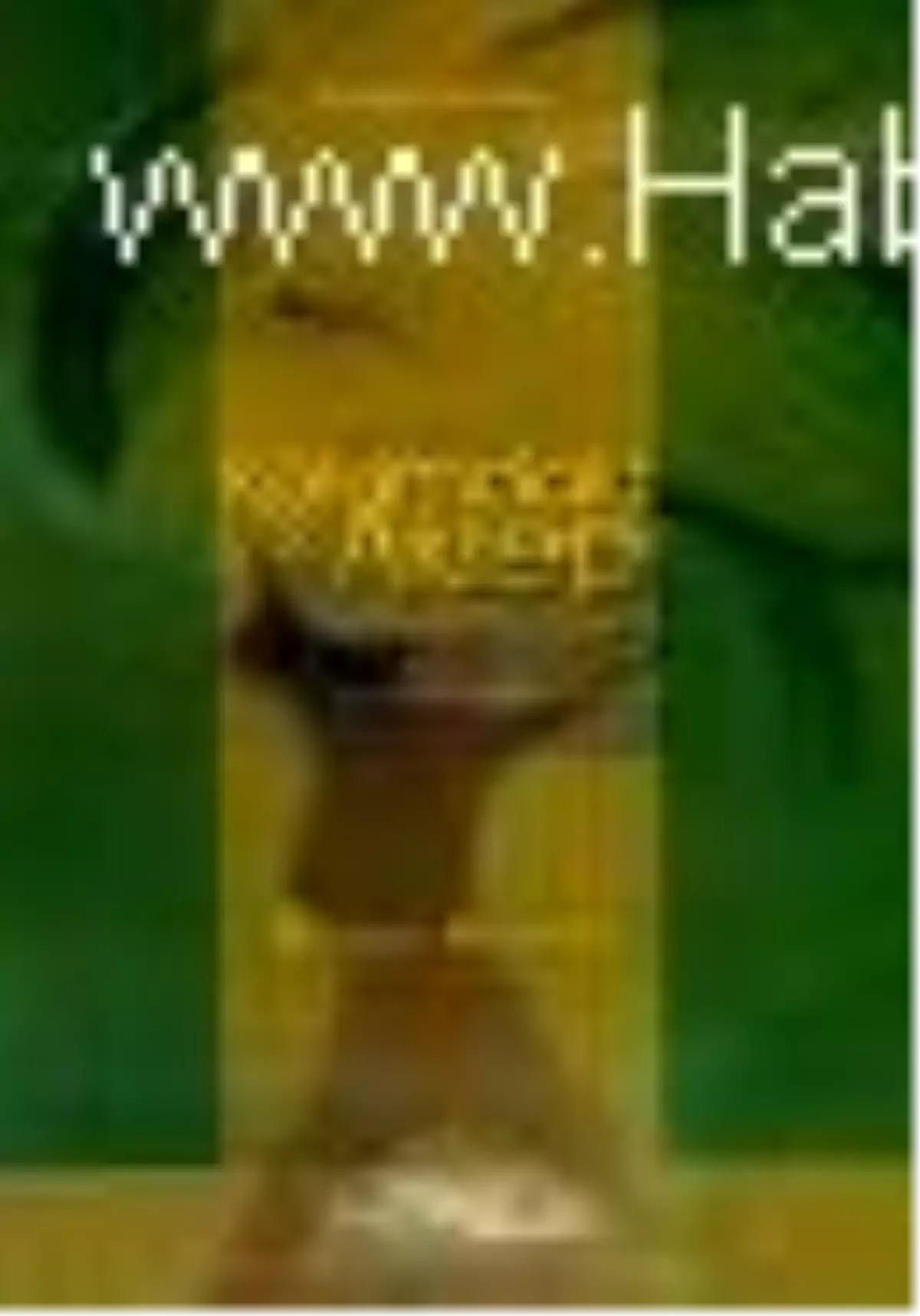 Kolumdaki Akrep Kitabı