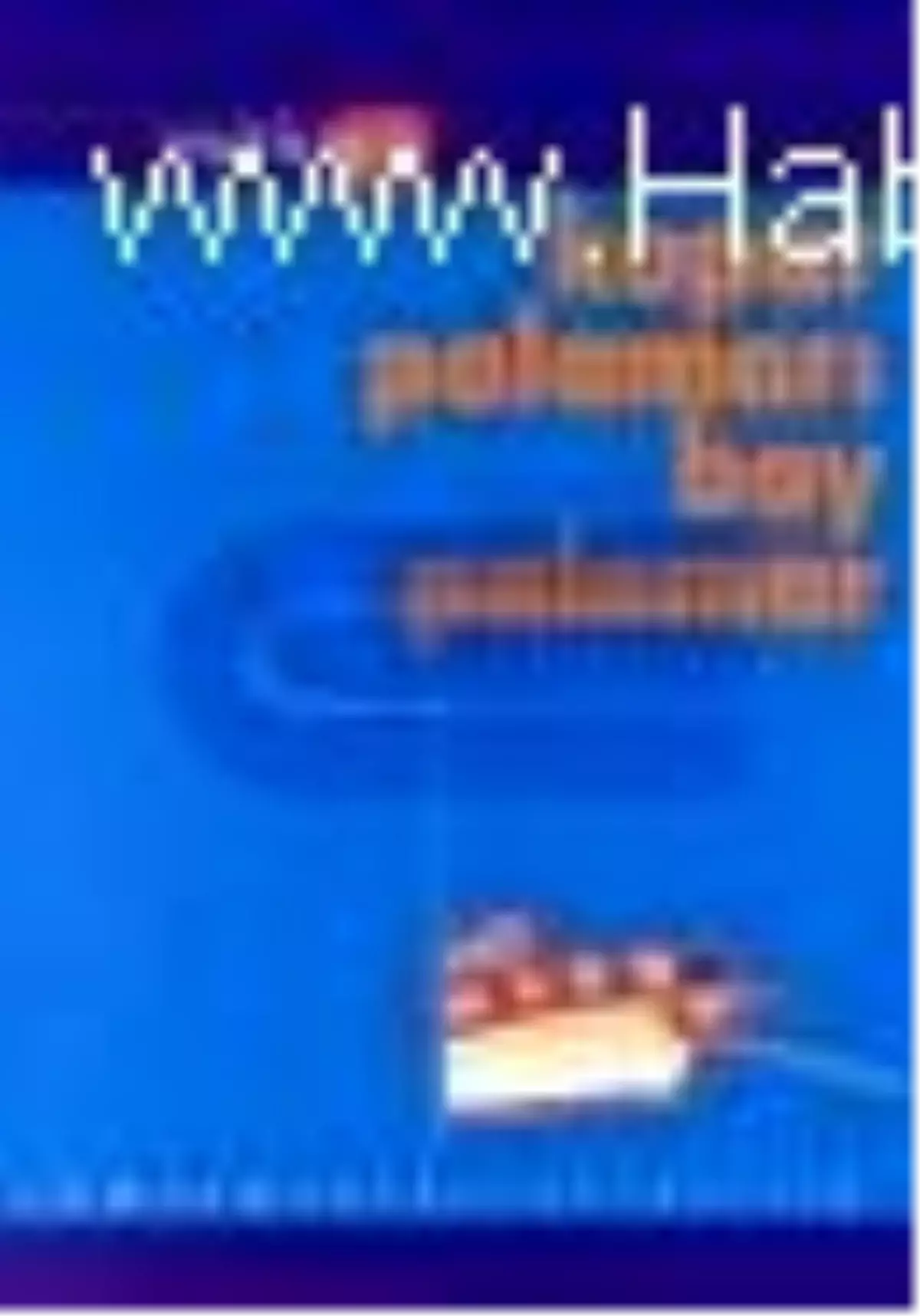 Kopar Palamarı Bay Palomar Kitabı