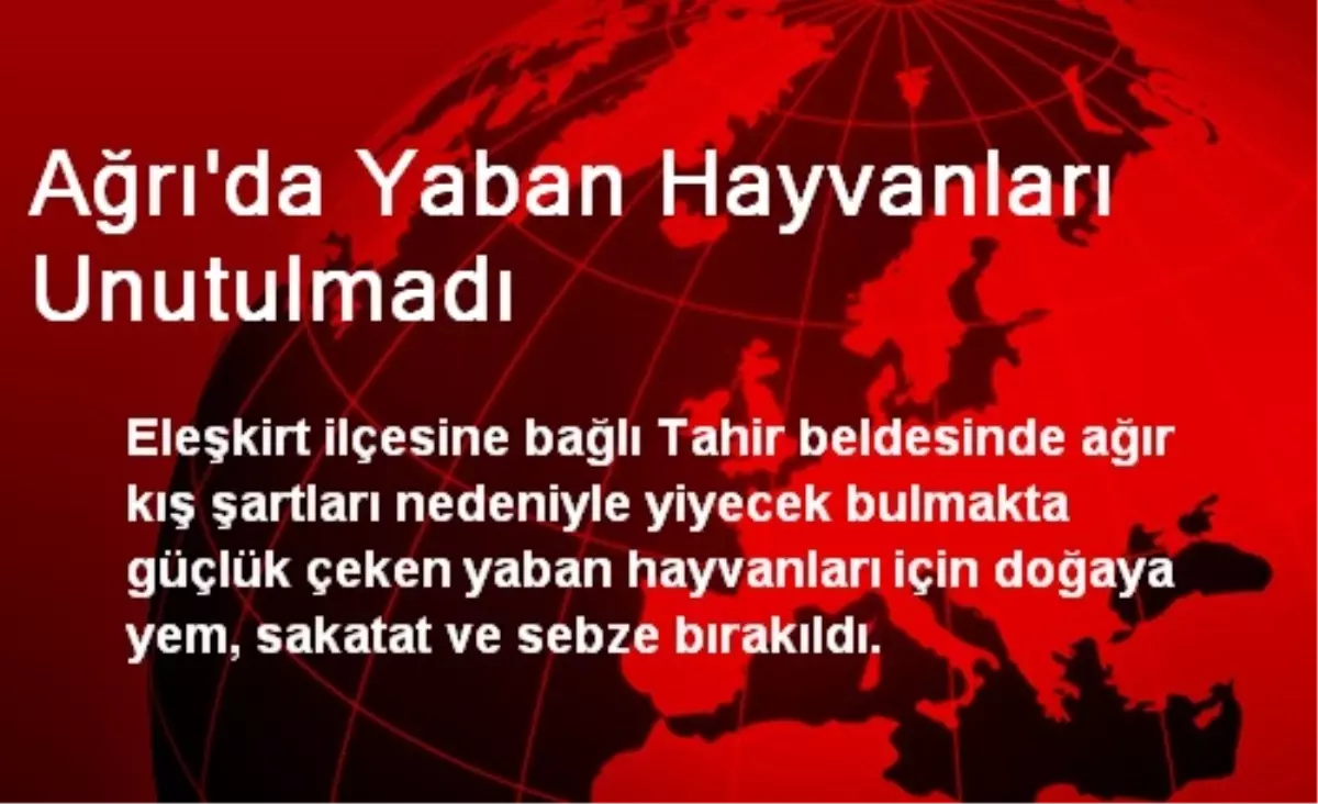 Ağrı\'da Yaban Hayvanları Unutulmadı