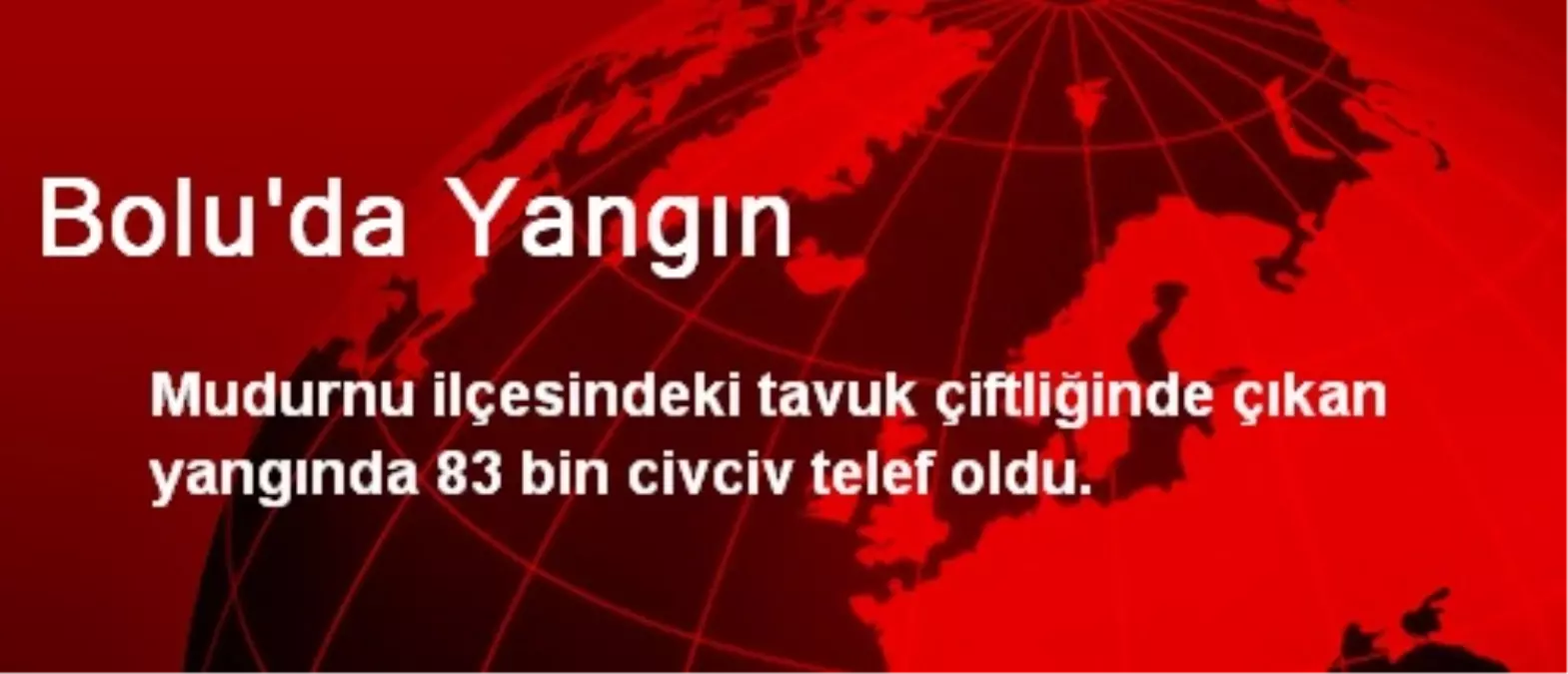 Bolu'da Yangın