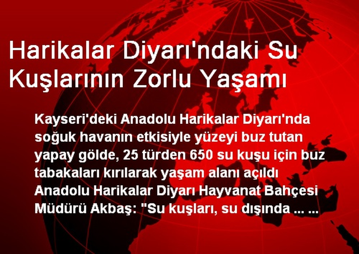 Harikalar Diyarı\'ndaki Su Kuşlarının Zorlu Yaşamı
