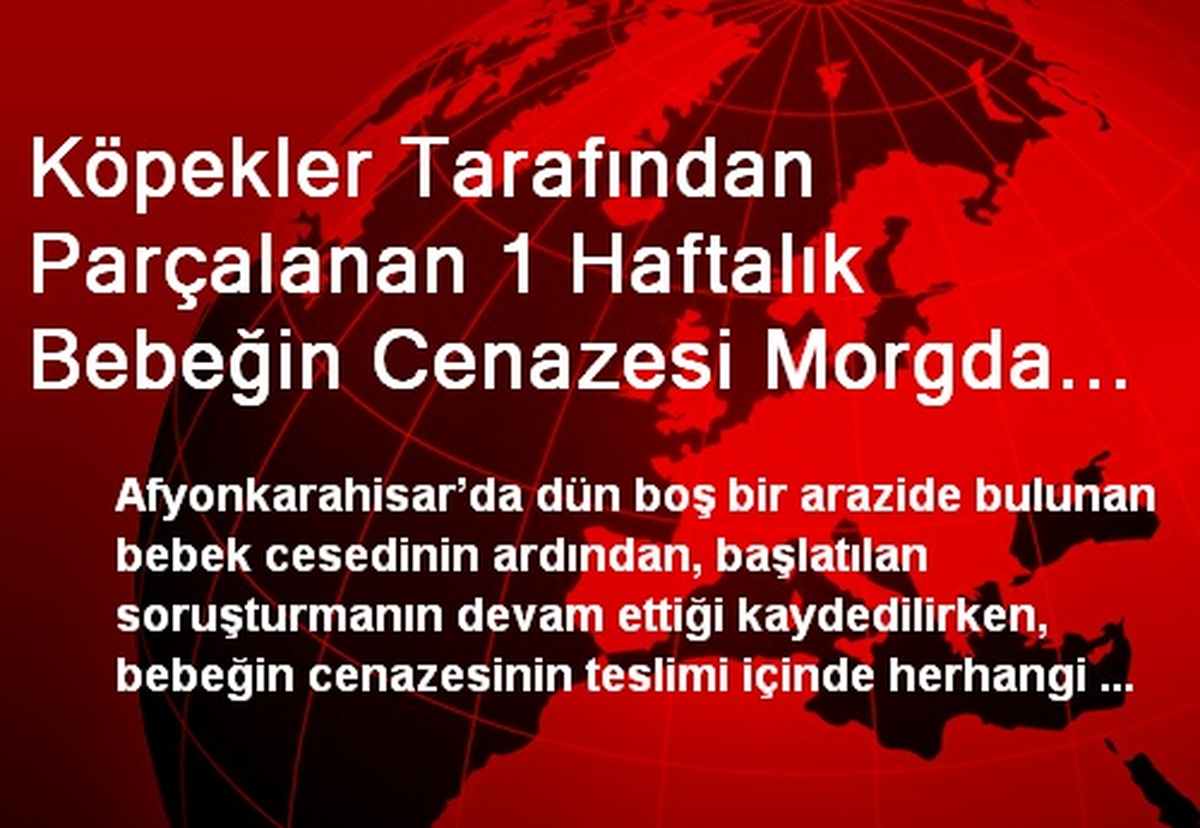 Köpekler Tarafından Parçalanan 1 Haftalık Bebeğin Cenazesi Morgda Bekliyor