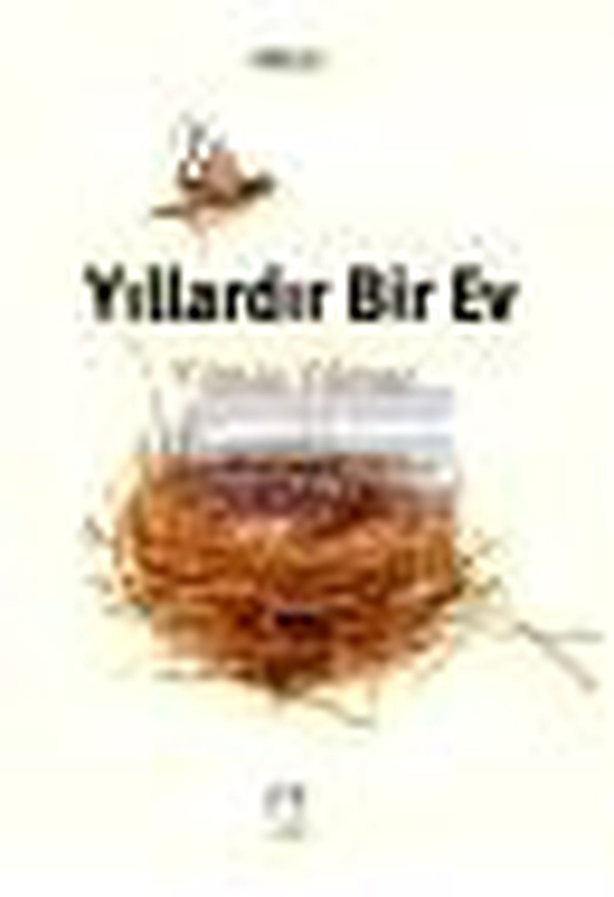 Yıllardır Bir Ev Kitabı