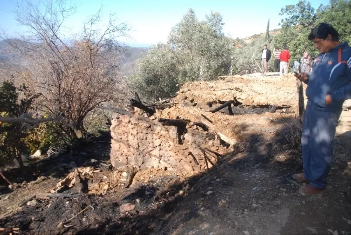 Ağılda Çıkan Yangında 32 Hayvan Telef Oldu