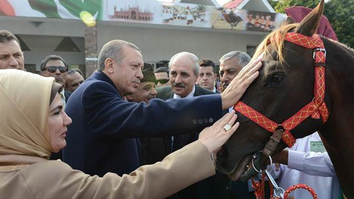 Başbakan Erdoğan Hediye Edilen Atı Kızı Adına Aldı