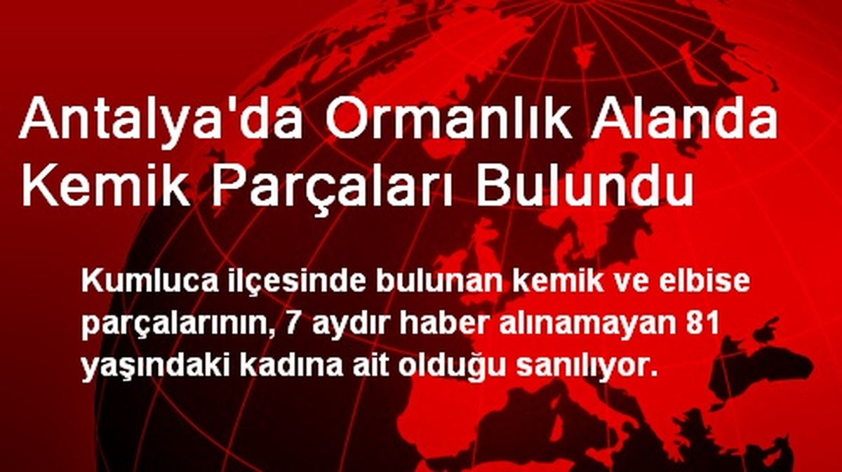 Antalya\'da Ormanlık Alanda Kemik Parçaları Bulundu