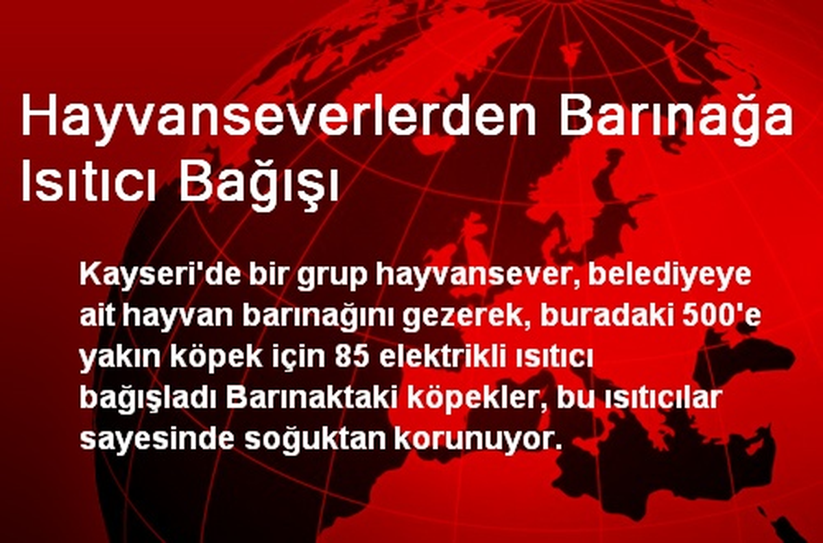 Hayvanseverlerden Barınağa Isıtıcı Bağışı