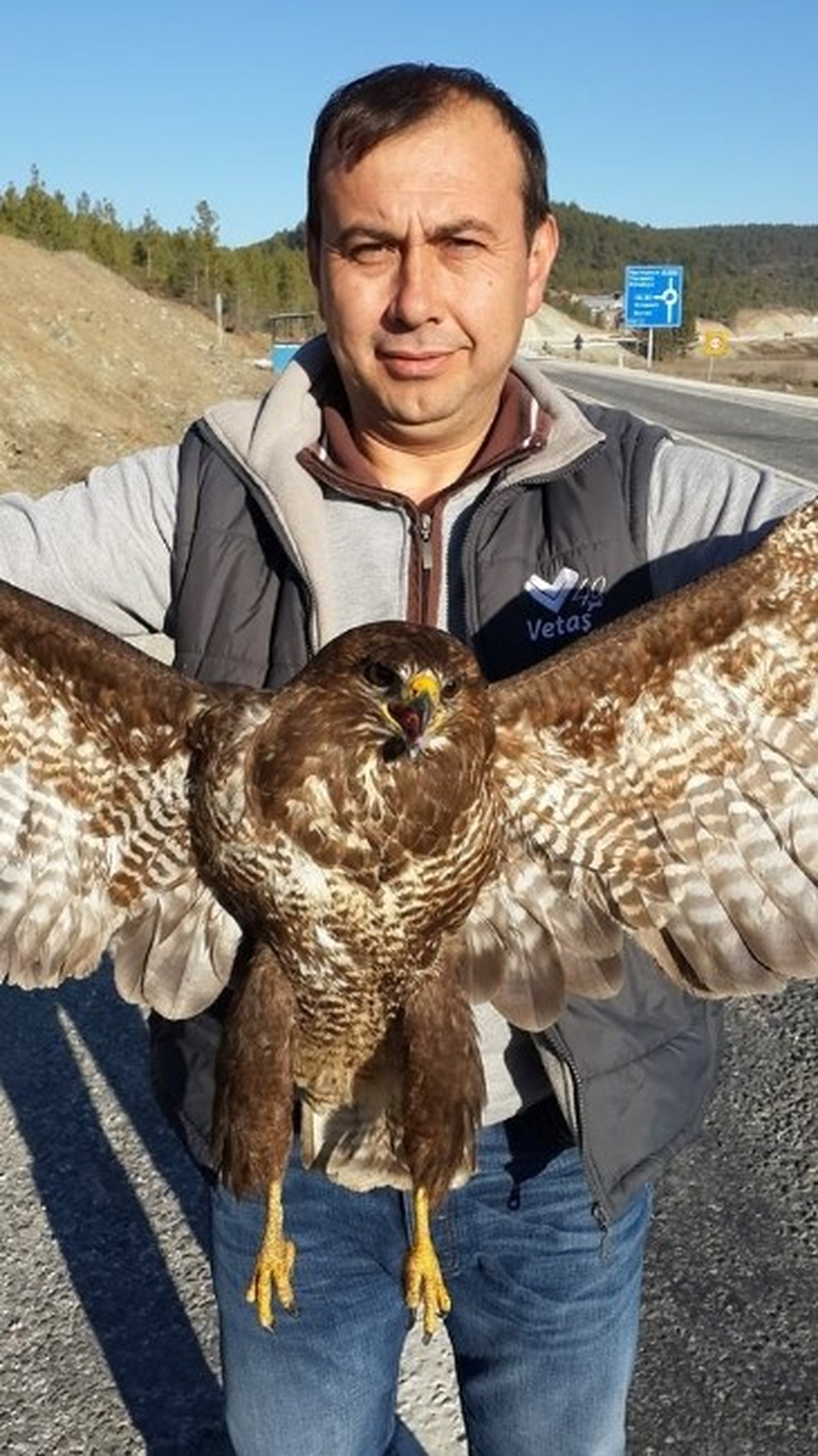Veteriner Başkan Aday Adayı Yaralı Doğanı Tedavi Etti