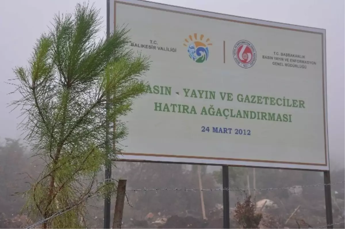 Balıkesir\'de Basın Yayın ve Gazeteciler Hatıra Ormanı Kuruldu