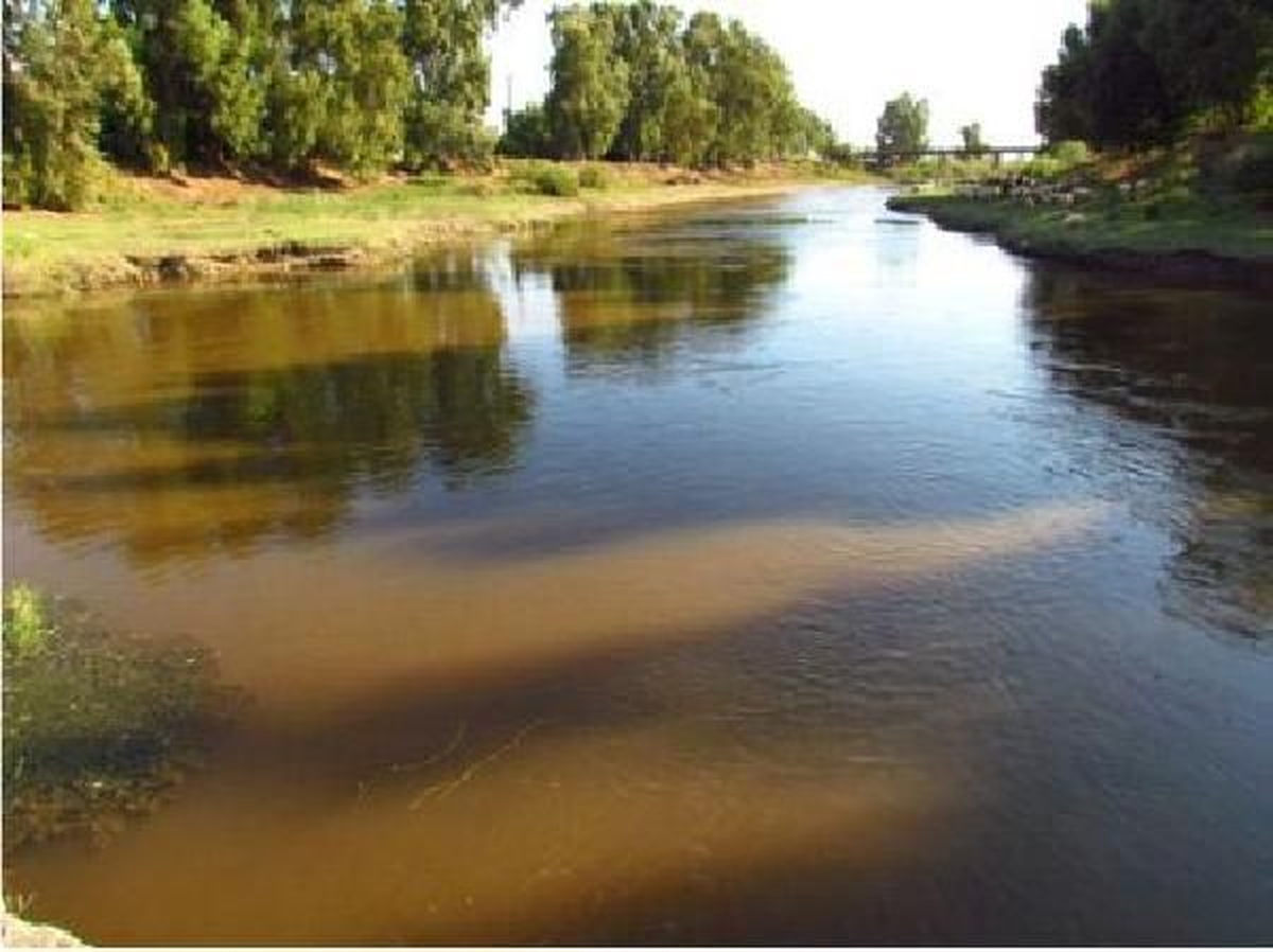 Büyük Menderes Nehri Üzerine Yeni Köprü
