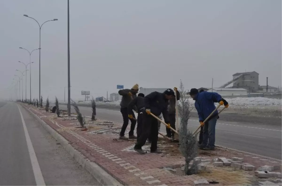 Cihanbeyli'de Refüj Çalışmalarında Sona Gelindi
