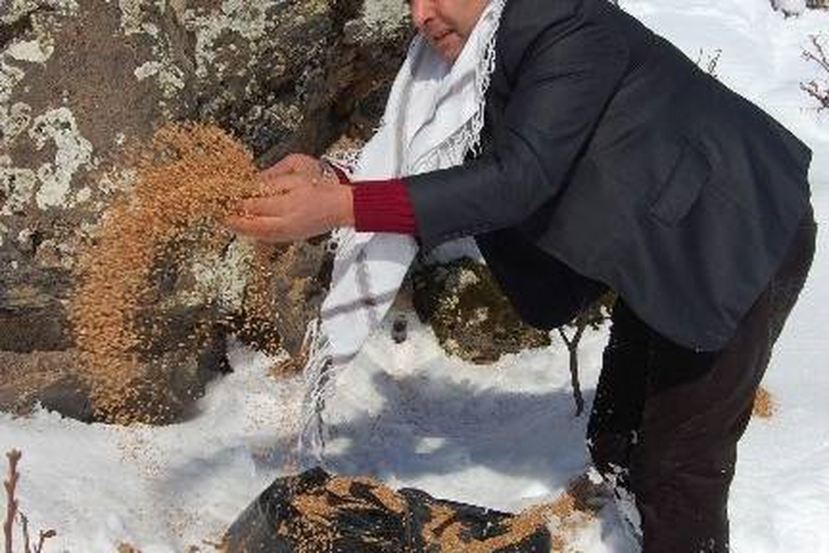 Karapınar\'da Yaban Hayvanlarına Yem Bırakılıyor