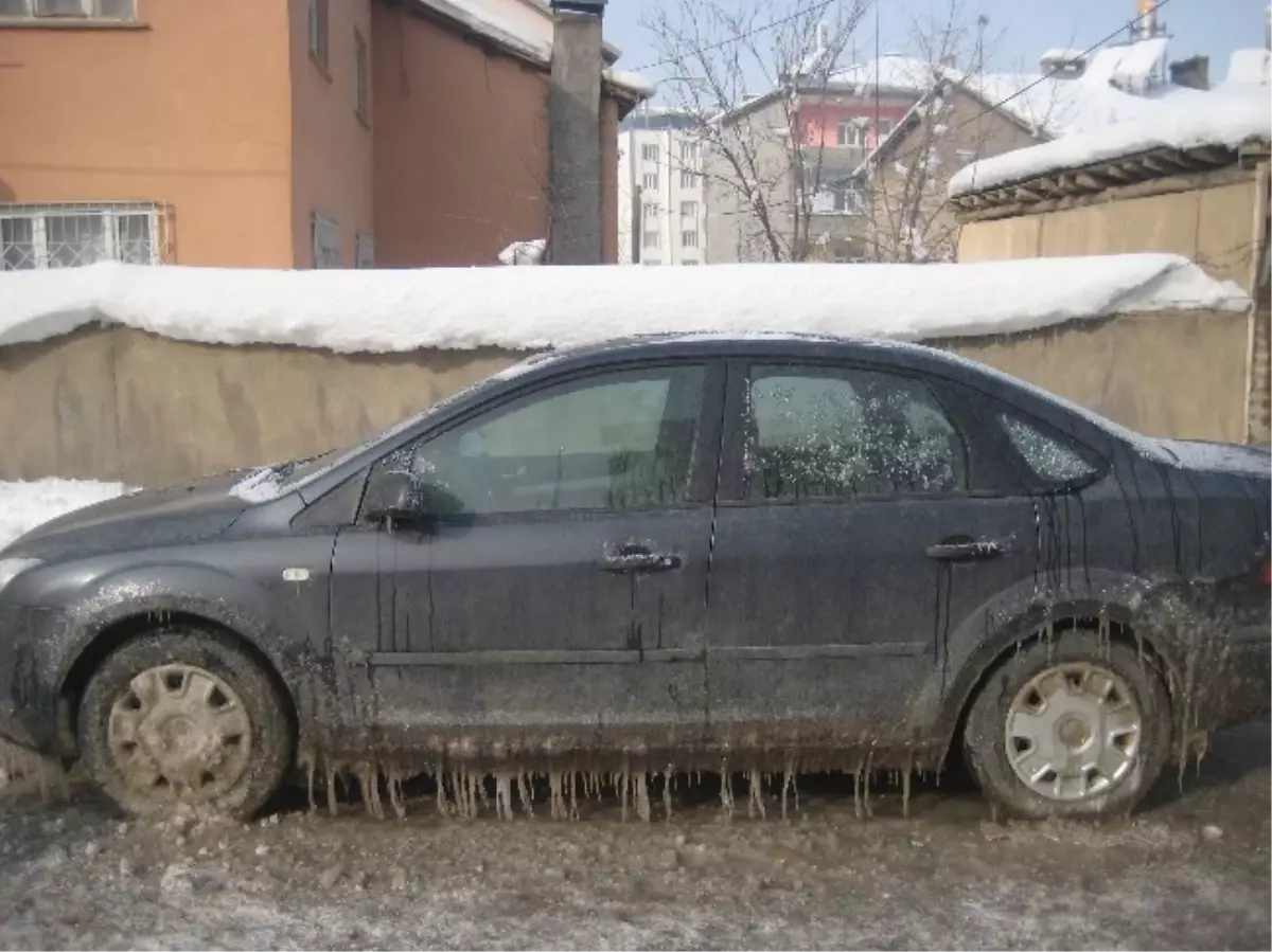 Muşta Sibirya Soğukları