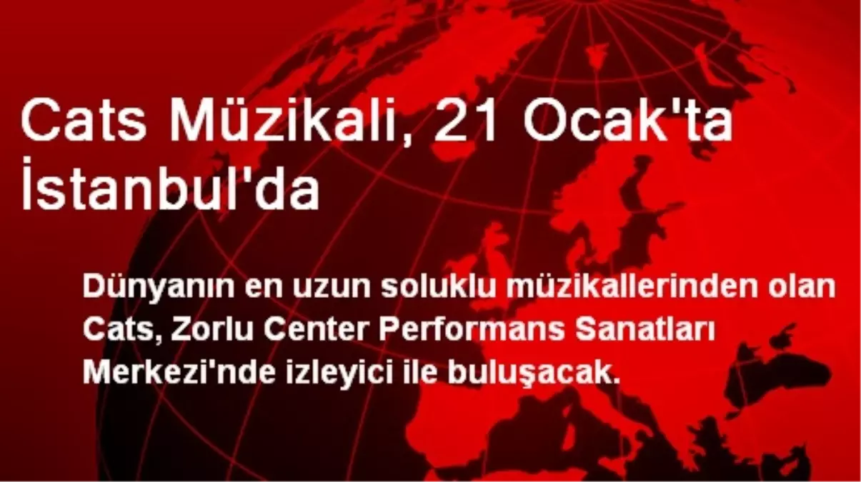 Cats Müzikali, 21 Ocak\'ta İstanbul\'da