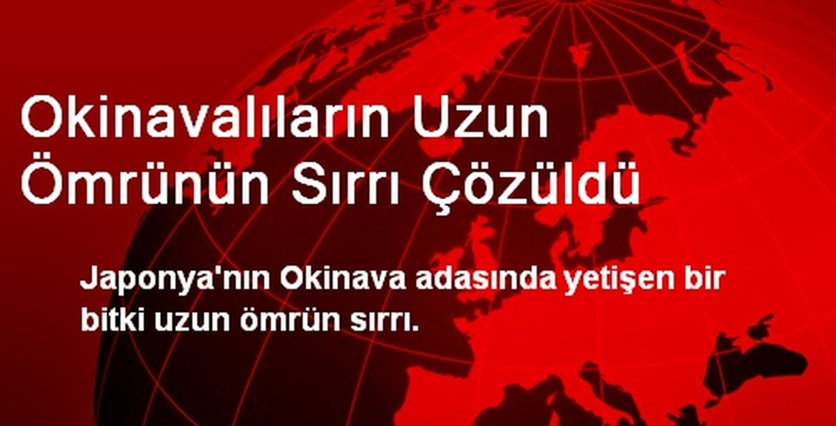 Okinavalıların Uzun Ömrünün Sırrı Çözüldü