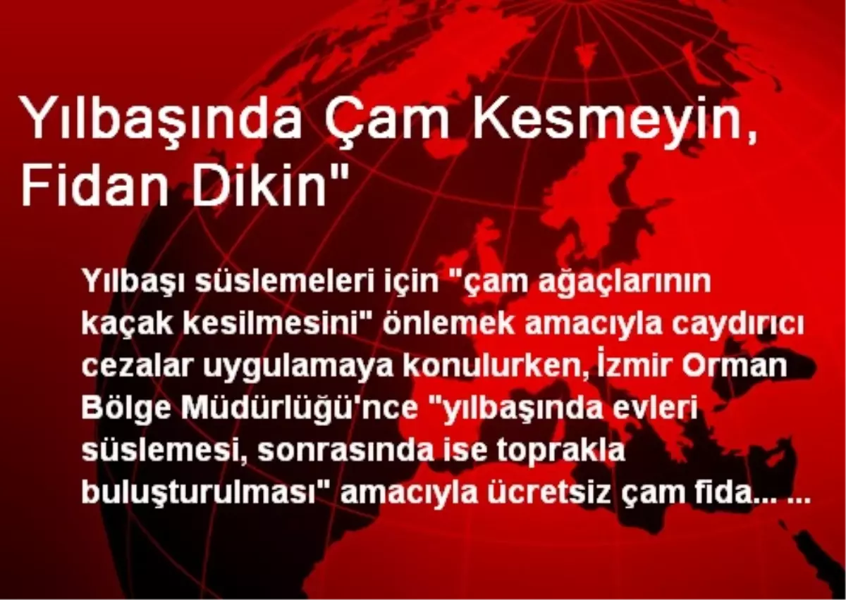 Yılbaşında Çam Kesmeyin, Fidan Dikin"