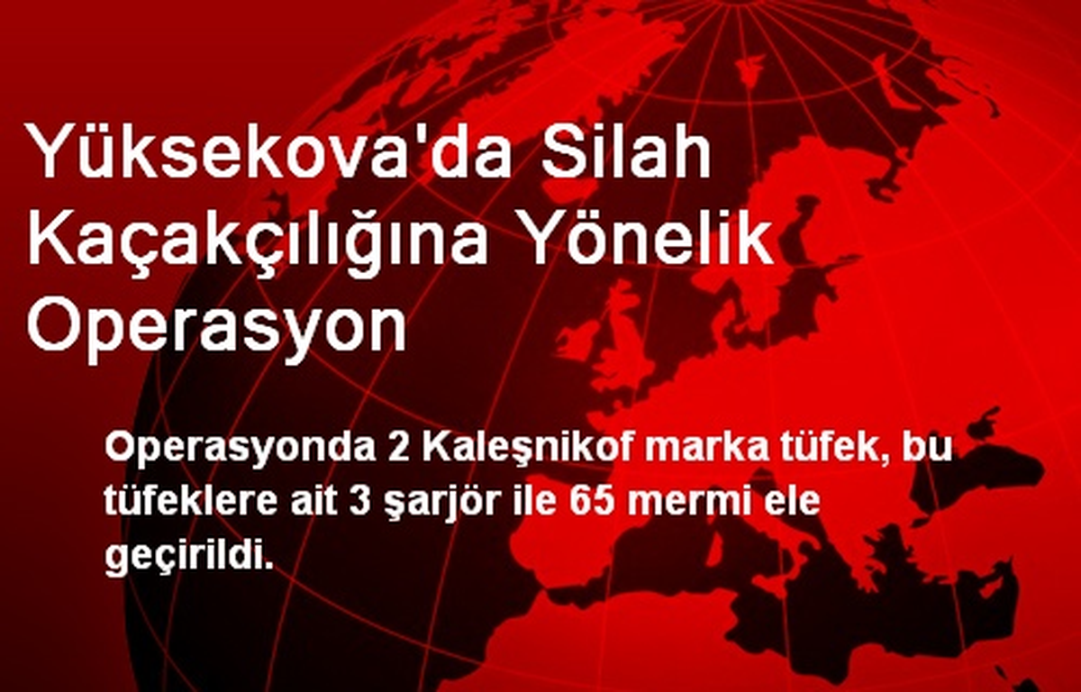 Yüksekova\'da 2 Kaleşnikof ve 65 Mermi Ele Geçirildi