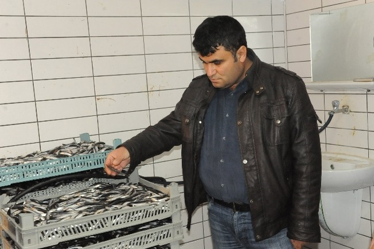 Bozüyük\'te Balık Pazarı Denetimi