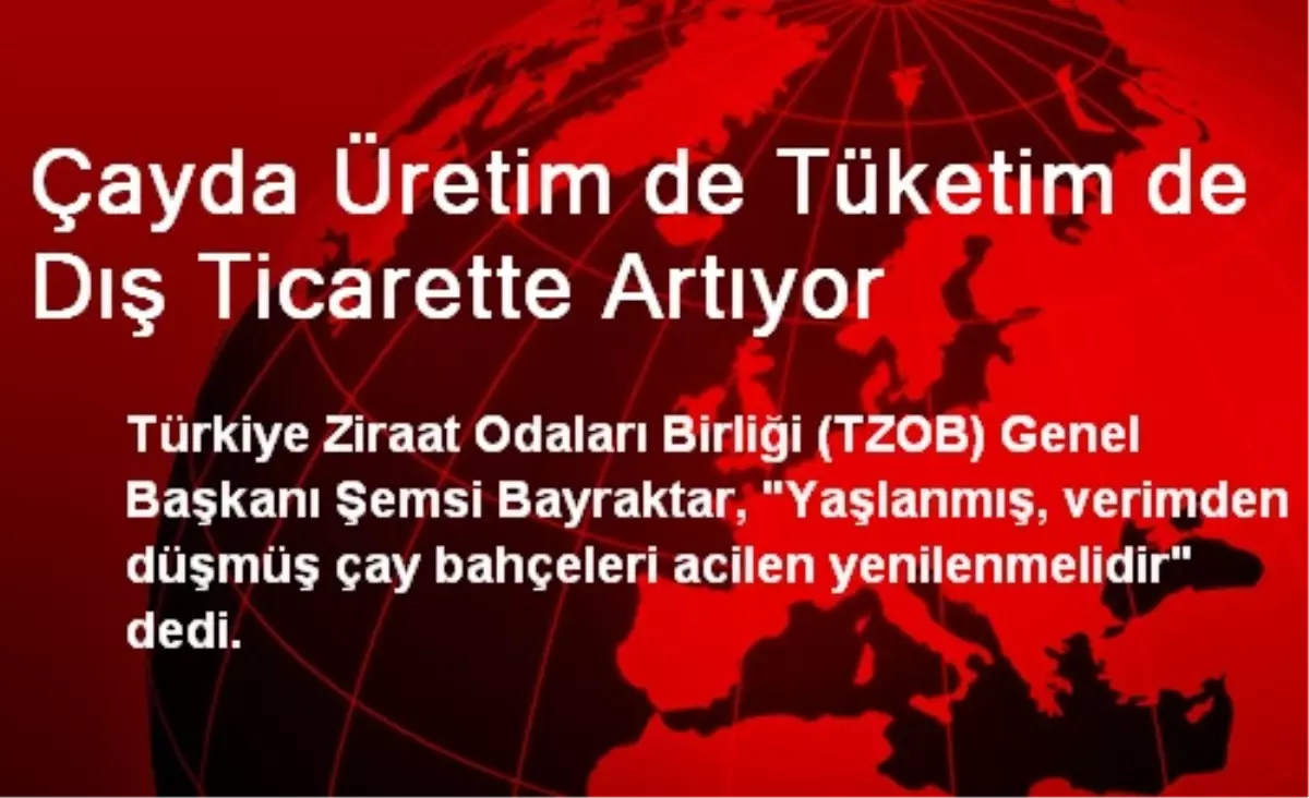 Çayda Üretim de Tüketim de Dış Ticarette Artıyor