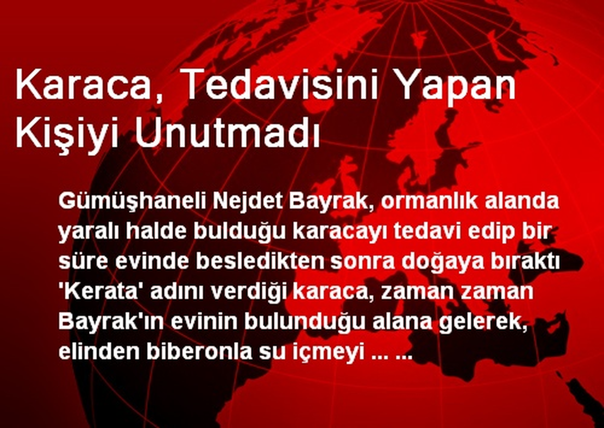 Karaca, Tedavisini Yapan Kişiyi Unutmadı