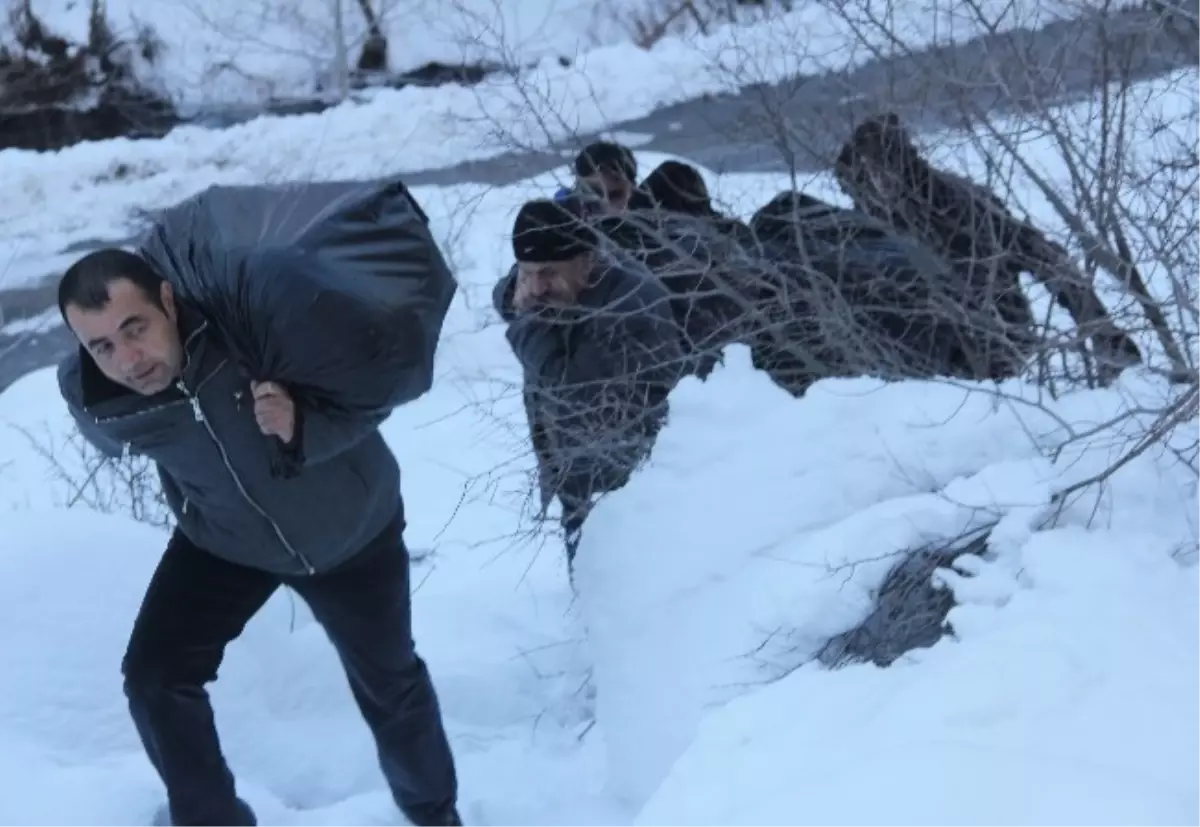 Özel Haber) Yaban Hayvanları İçin Türküler Eşliğinde Yem Bırakıldı