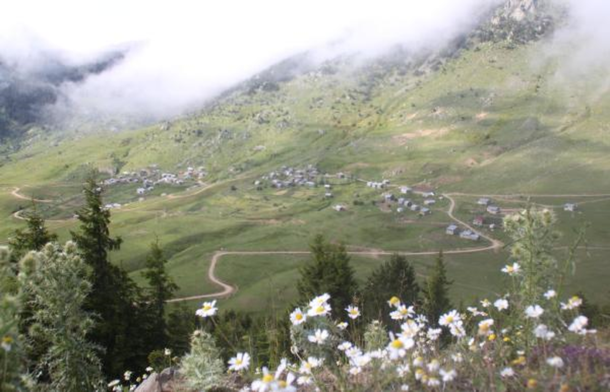 Yeşil Hat\'la Karadeniz Yaylalarında Eko-Turizm Hareketlenecek