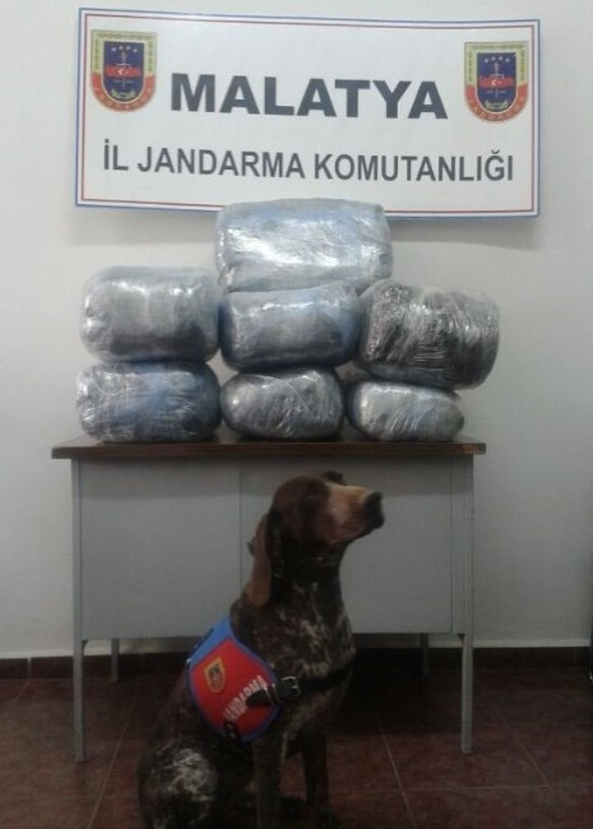 Malatya\'da 29,5 Kilo Esrar Ele Geçirildi