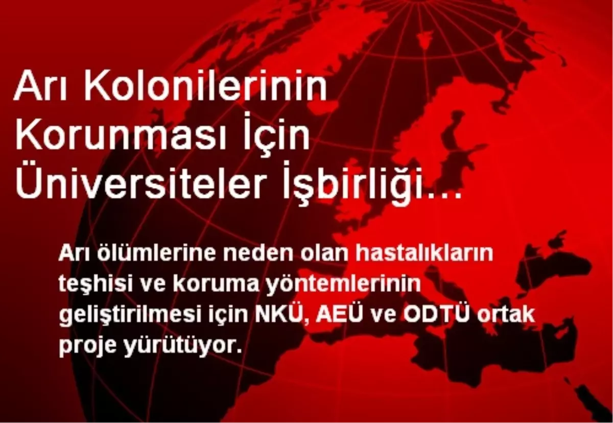 Arı Kolonilerinin Korunması İçin Üniversiteler İşbirliği Yapıyor