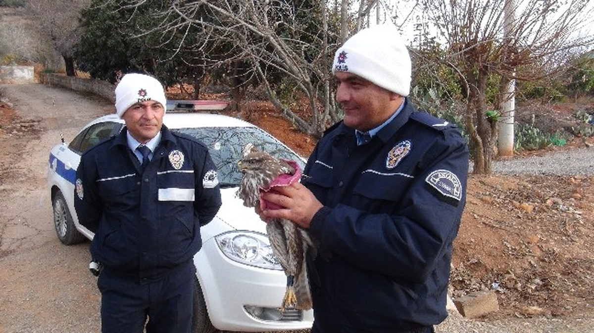 Yaralı Şahine Polis Şefkati