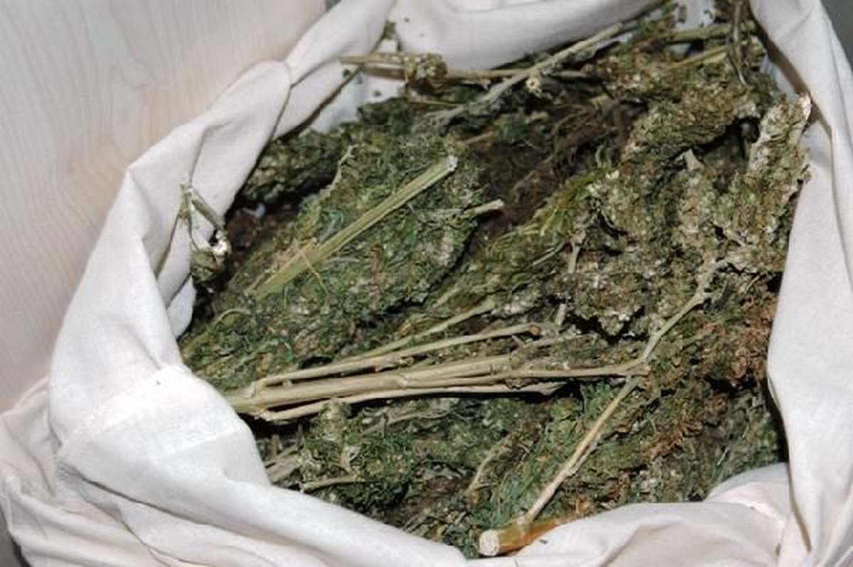 Kilis\'te 11 Kilo Esrar Ele Geçirildi