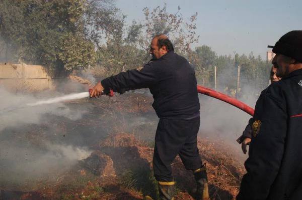 Mersin'de Hatıra Ormanında Yangın Korkuttu - Son Dakika