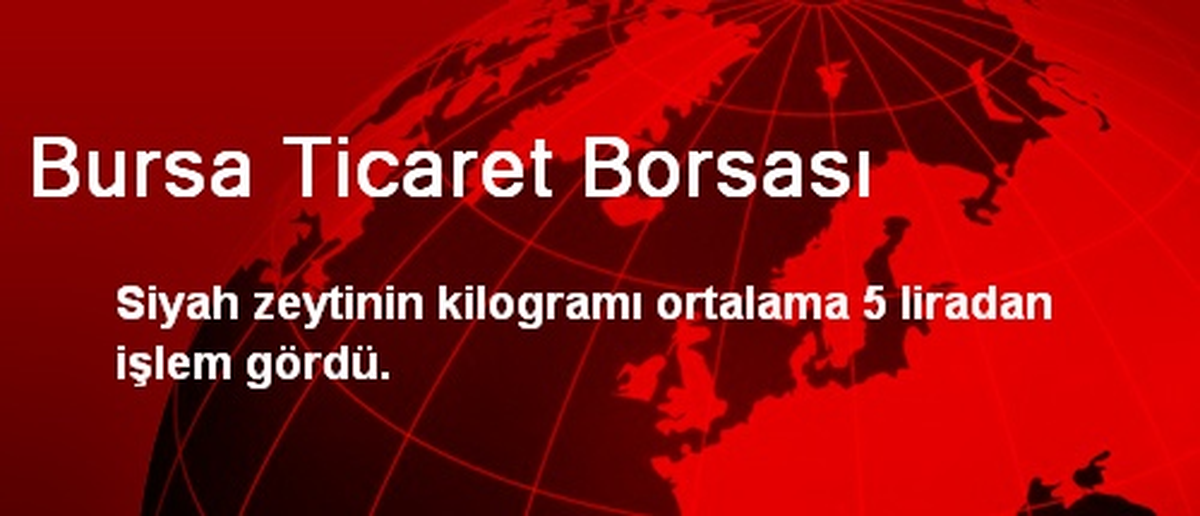Bursa Ticaret Borsası