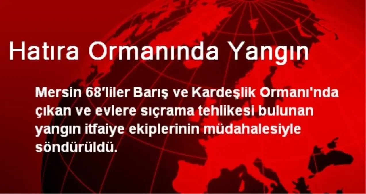 Mersin Hatıra Ormanında Yangın