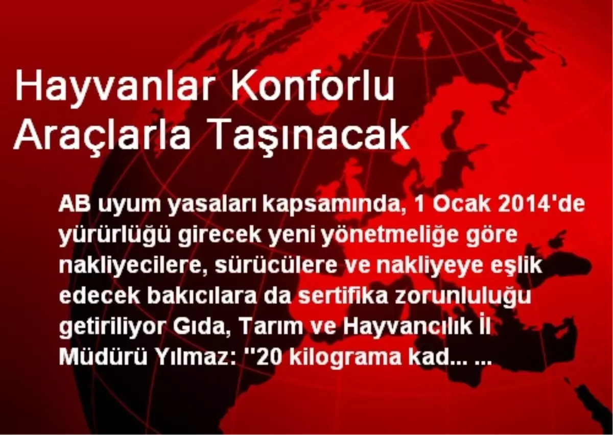 Hayvanlar Konforlu Araçlarla Taşınacak